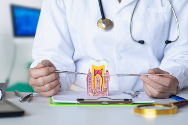 Best Broken Tooth Emergency  in Kgsford Heights, IN